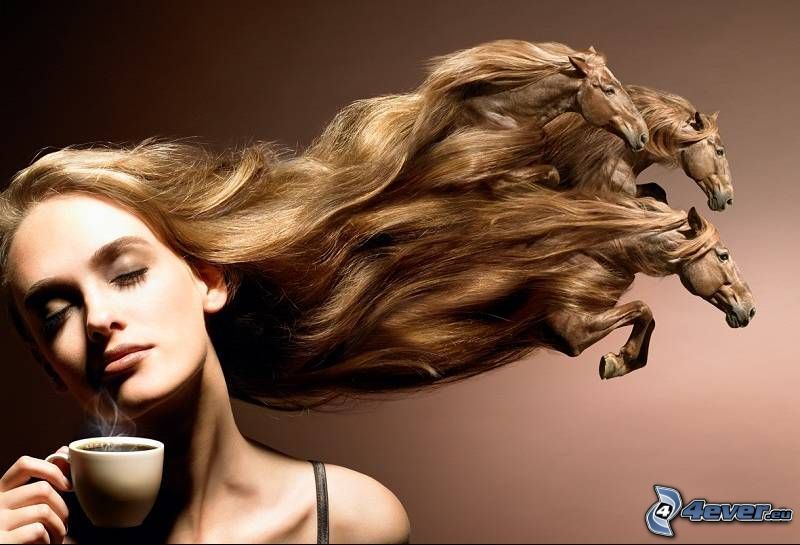 woman, horses, hair, coffee