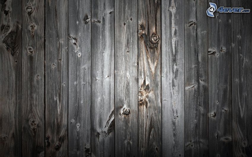 wooden wall