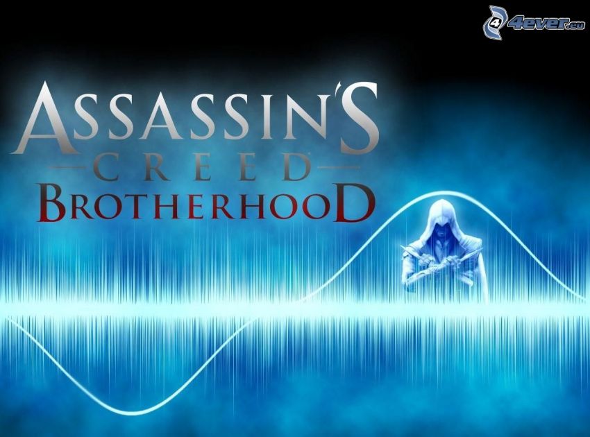 Assassin's creed Brotherhood