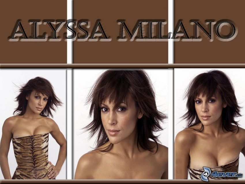 Alyssa Milano, actress, Phoebe, witches, Charmed, brown-haired woman, leopard pattern