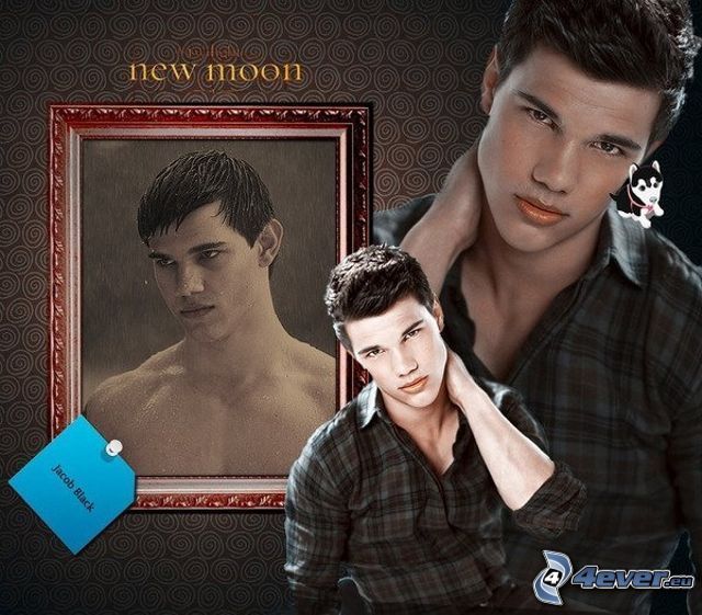 Jacob Black, Taylor Lautner, New Moon