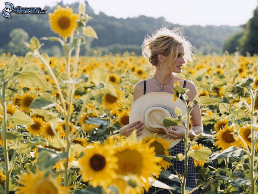 Julia Roberts, sunflower field