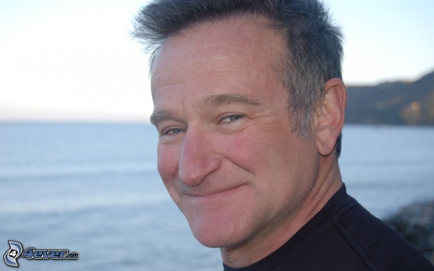 Robin Williams, smile, sea