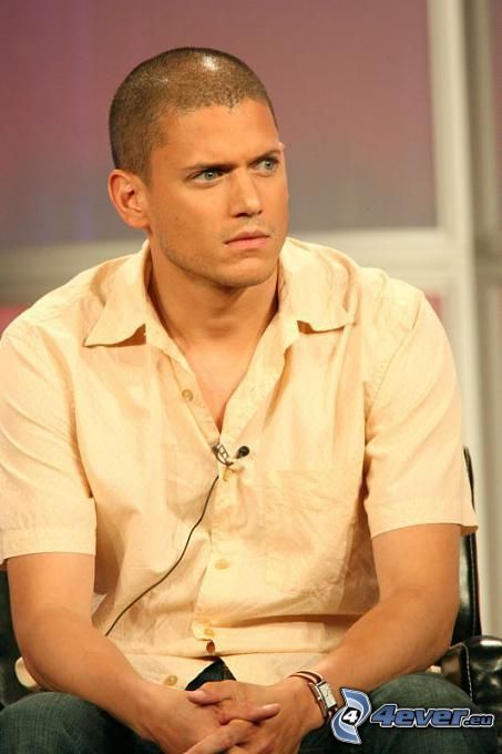 Wentworth Miller