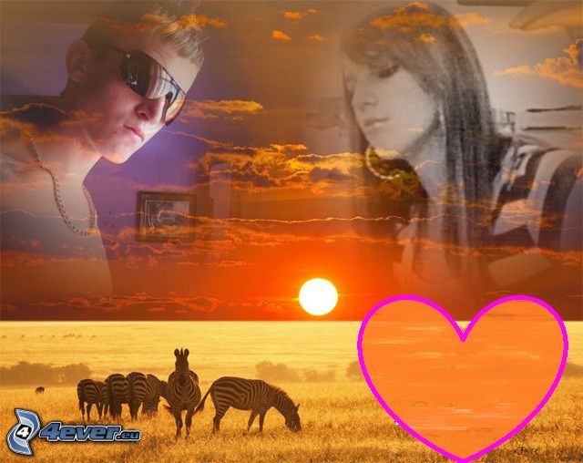 collage in love, heart, sunset on the savannah, zebras