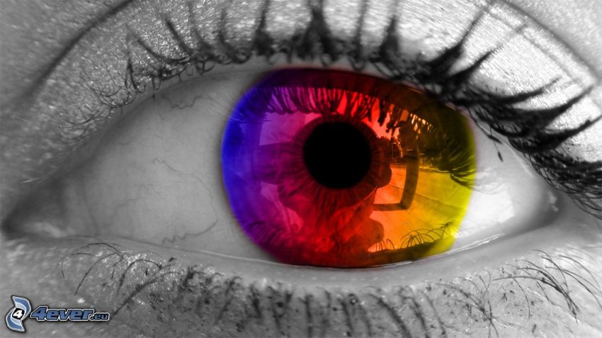 colored eye, iris, colors