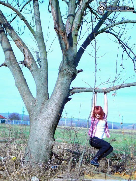girl, swing, freedom, old tree, defoliate tree