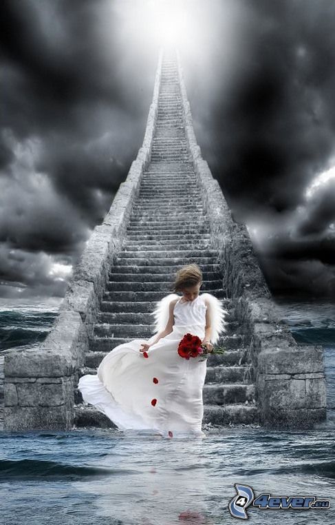 stairs to heaven, angel, water, baby, storm, dark clouds, leaf, flowers, heaven