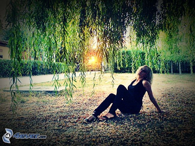 woman, willow, lawn, leaves, sunset