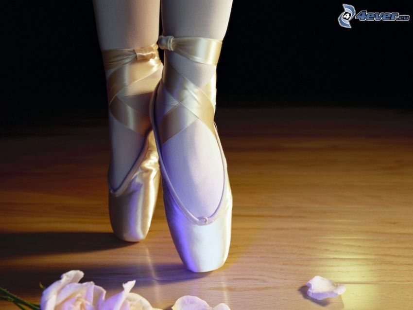 ballerina, legs, shoes, rose petals