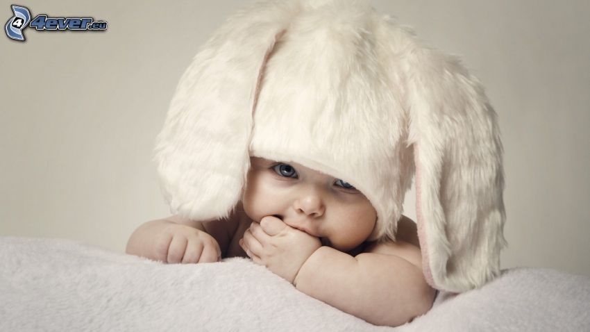 baby, hat, rabbit costume