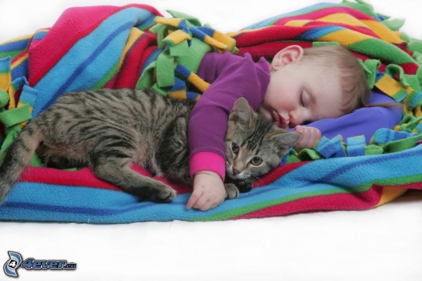baby and cat, blanket, sleep