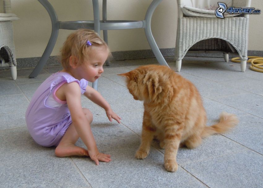 baby and cat, tabby cat