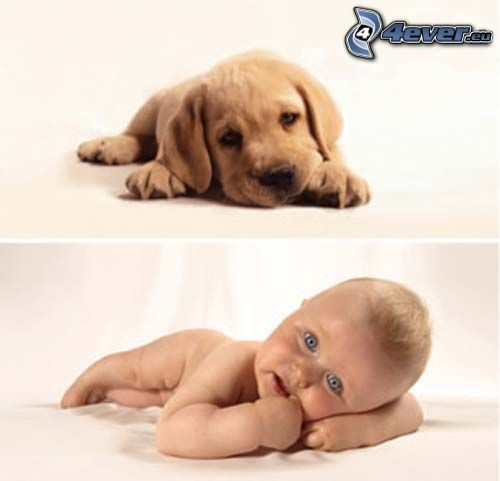 dog and his master, blue-eyed child