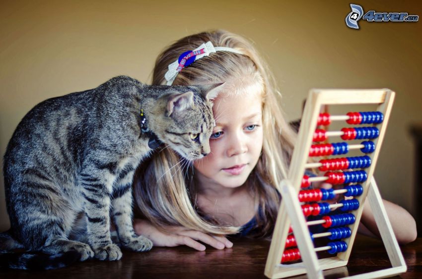 girl, gray cat, abacus