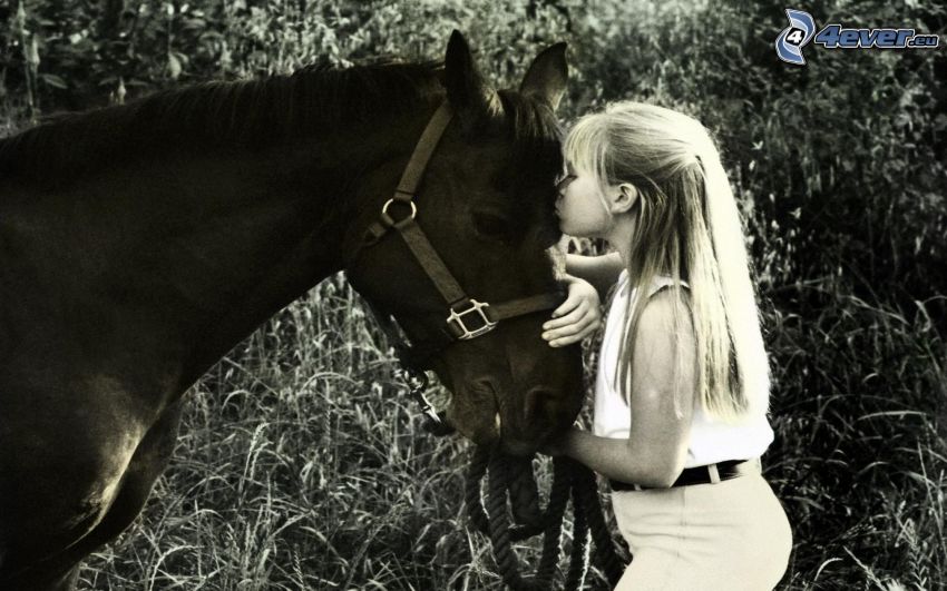 girl, horse, kiss, black and white photo