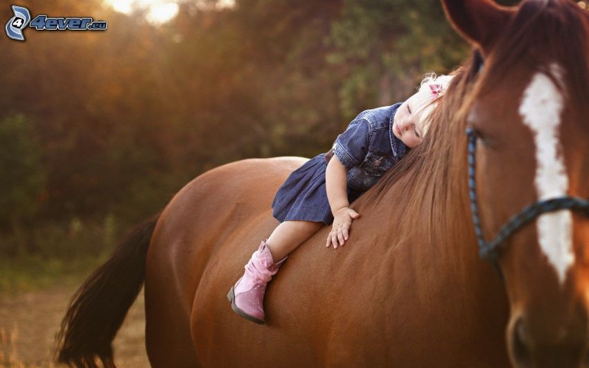girl riding on the horse, brown horse