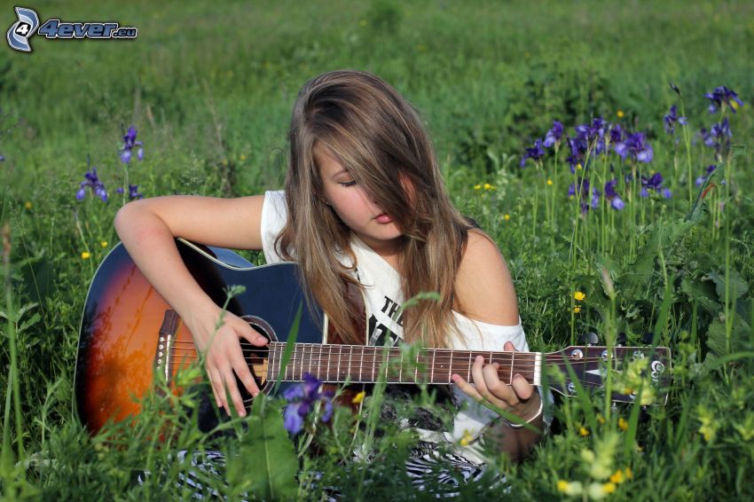 girl with guitar, summer meadow, purple flowers