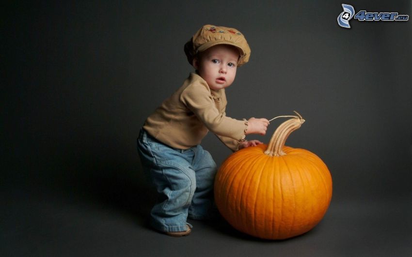 little boy, hat, pumpkin