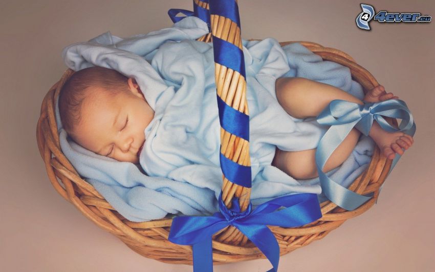 sleeping baby, baby, basket, ribbon