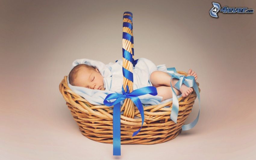 sleeping baby, baby, basket, ribbon