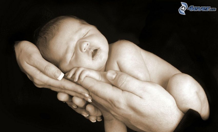 sleeping baby, hands, black and white photo