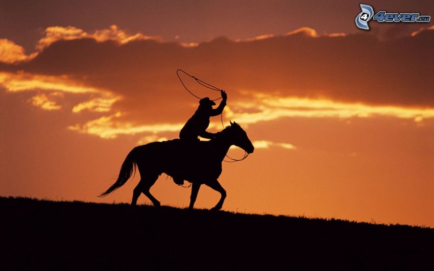 cowboy, silhouette of a man, horse