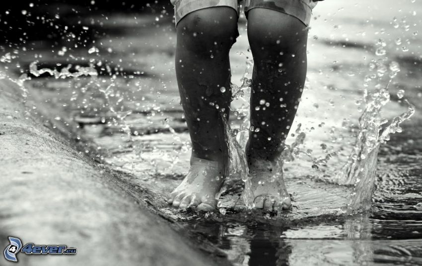 fen, splash, legs, jump, black and white photo