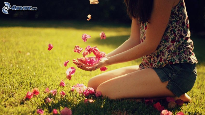 girl, petals, lawn