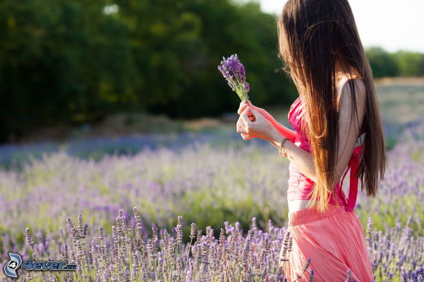 girl on field, lavender field