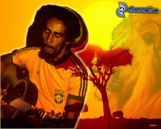 Bob Marley, guitar, Africa