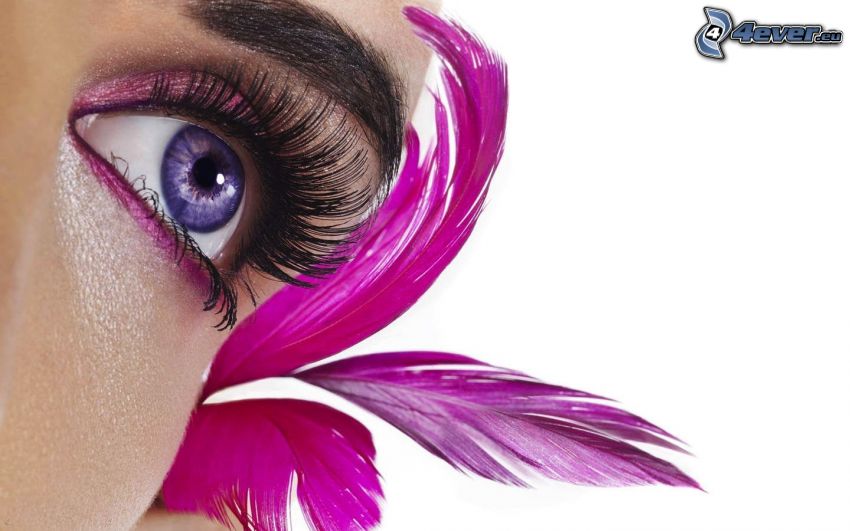 purple eye, feather