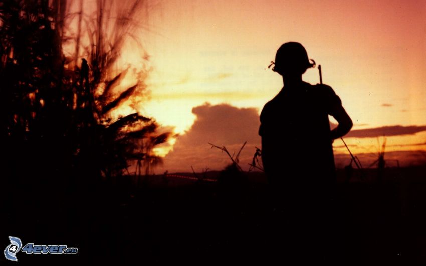 soldier, silhouette, silhouette of tree