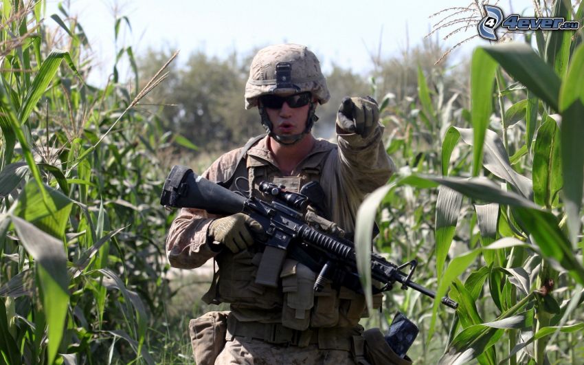 soldier with a gun, field