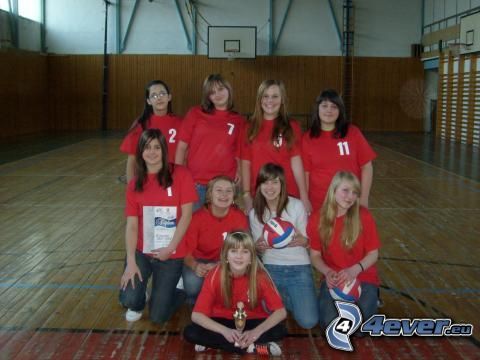 volleyball, team, gym