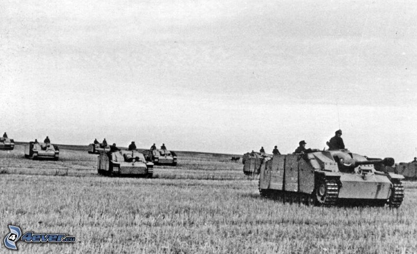 Wehrmacht, tanks, field, black and white photo