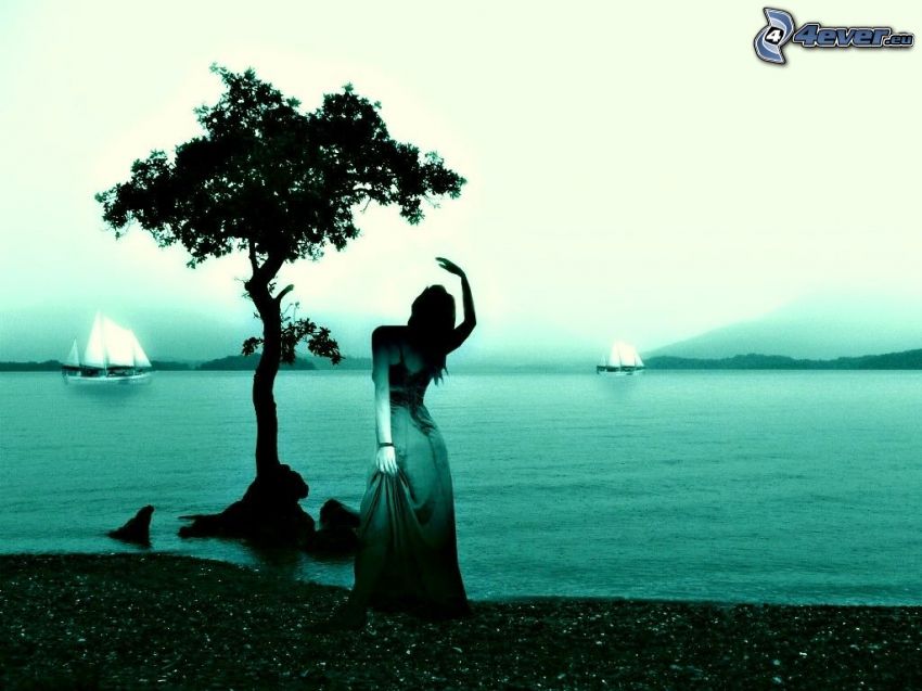 woman, tree, lake, sailboats