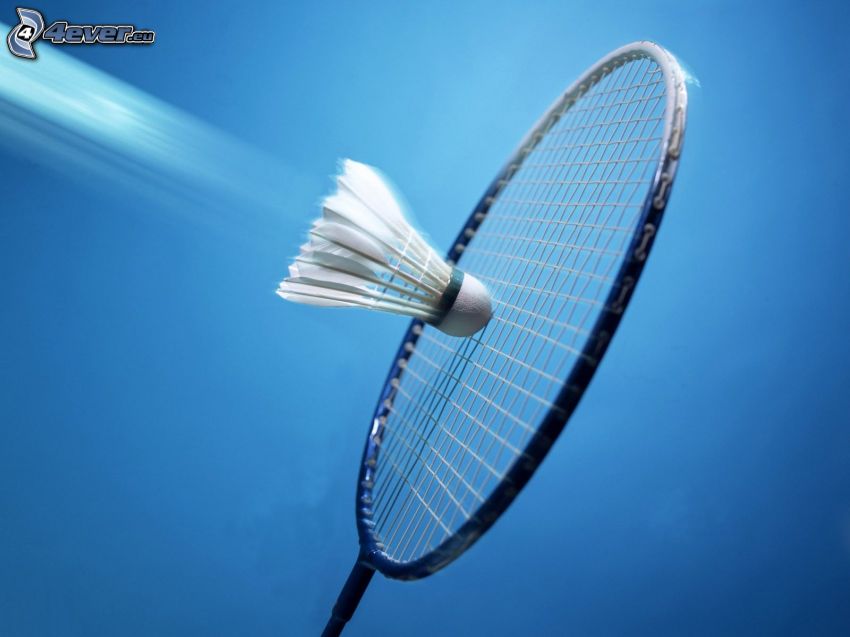 badminton, racket