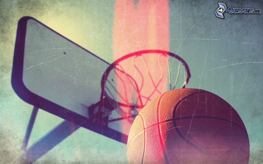 basketball basket