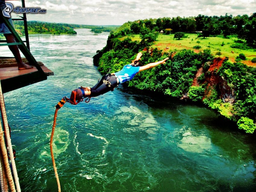 Bungee jumping, River, cliff, forest