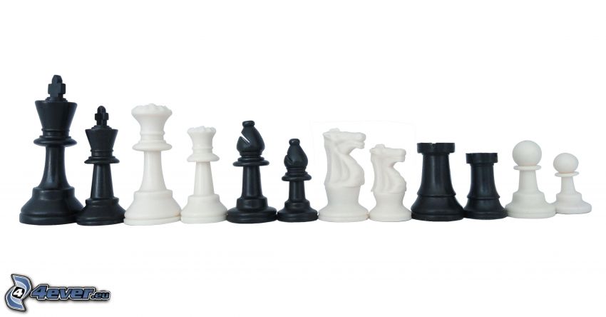 chess pieces, black and white