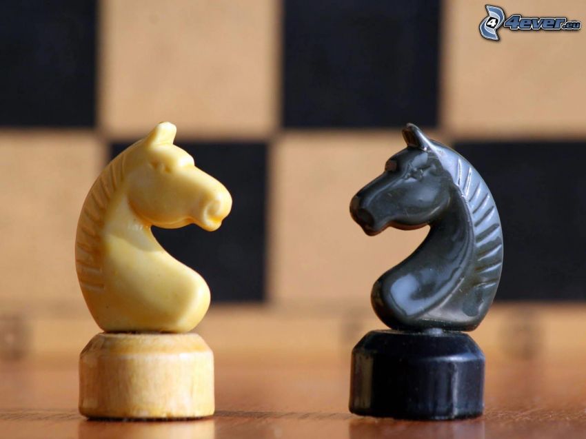 chess pieces, horses