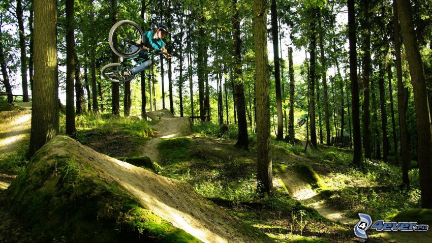 extreme biker, jump on bike, forest