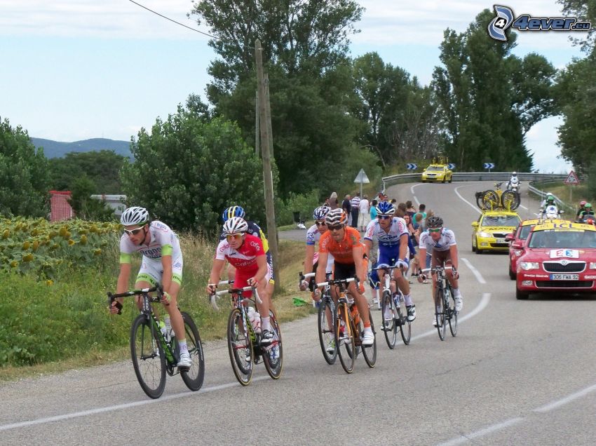 Tour De France, cyclists, road