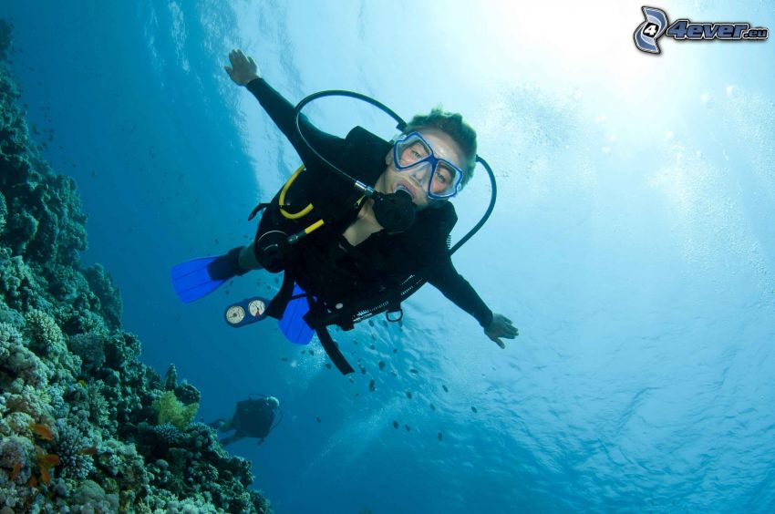 diver, corals