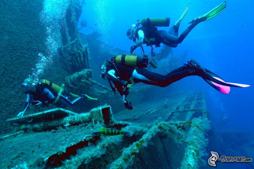 divers, shipwreck
