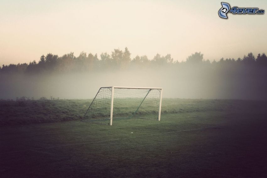 goal, forest, playground