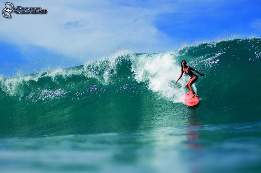 girl surfer, wave, sea