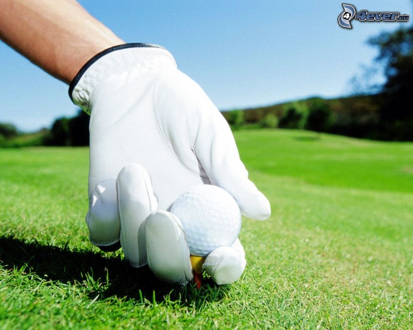 golf, golf ball, gloves, lawn
