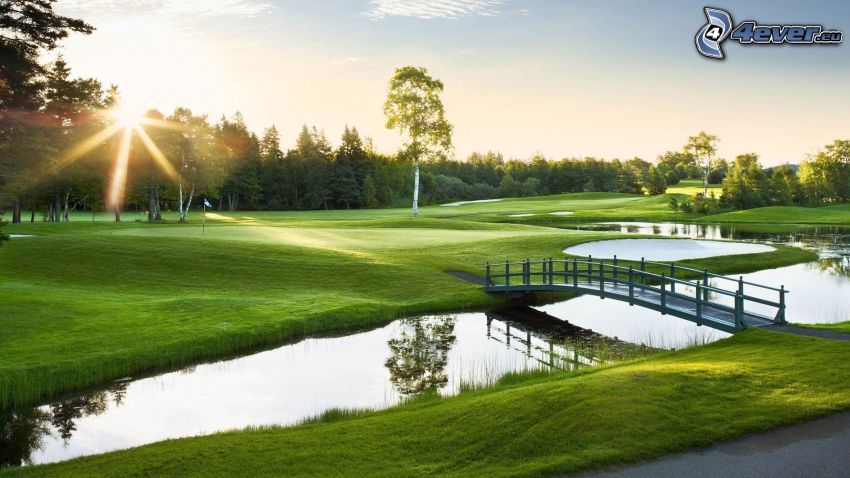 golf course, lake, River, bridge, forest, sunset